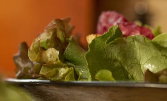 lettuce-bowl-750x250