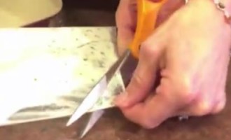 saucy-tips-video-750x250