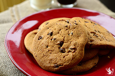 Chocolate Chip Gourmet Cookie